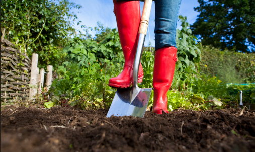pelle beche
pelle jardinage
petite pelle jardinage
pelle rateau
pelle beche leroy merlin
petite pelle de jardin
rateau pelle
mini pelle jardinage
pelle jardinage castorama
beche pelle